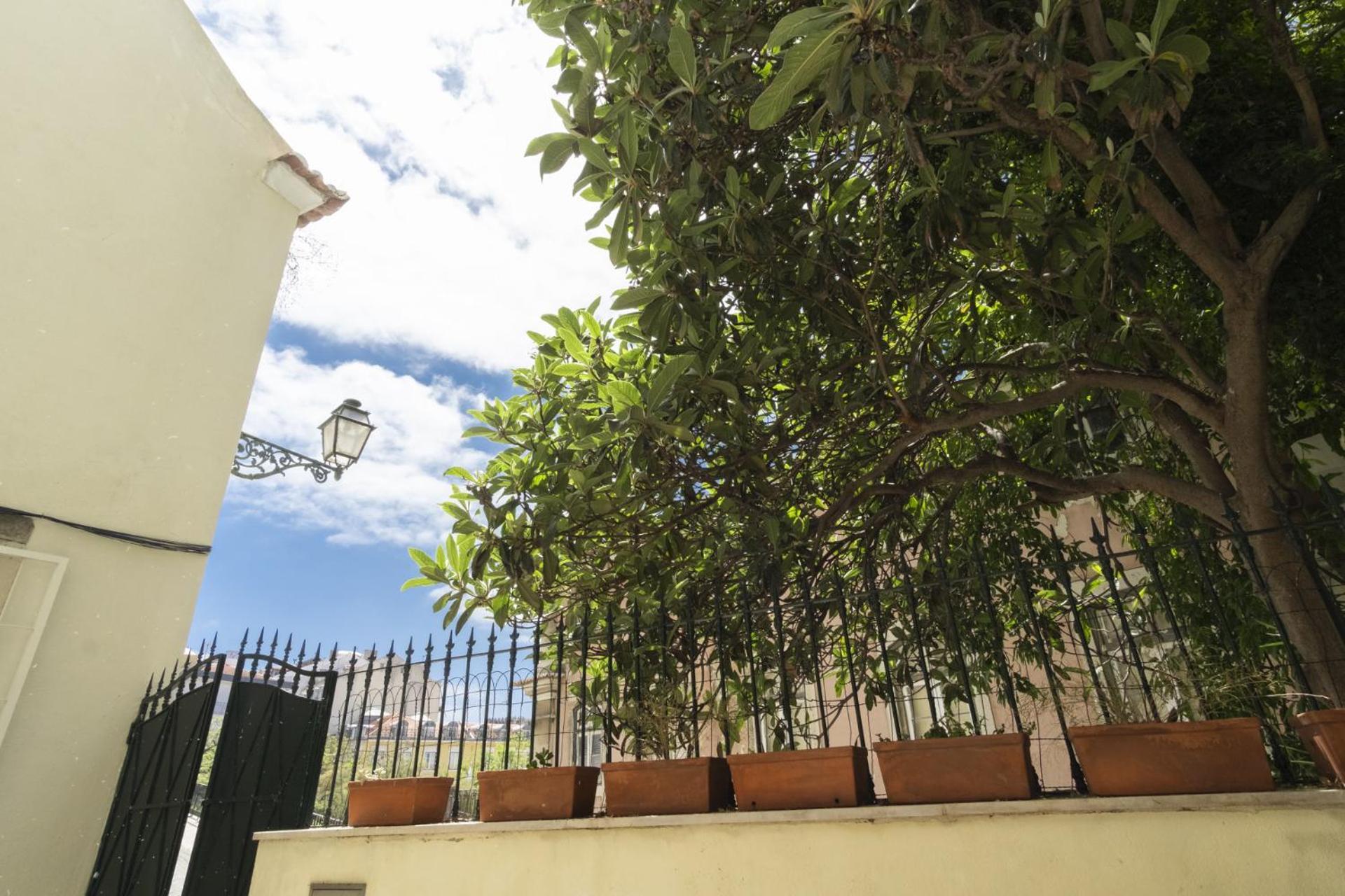 Apartamento With Terrace In Downtown - Ttl279 *